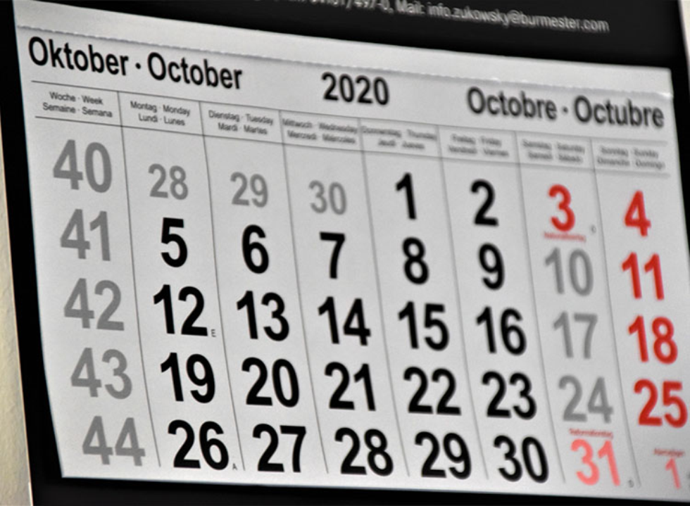 Reddito di cittadinanza si rinnova, mentre la pensione procede in automatico