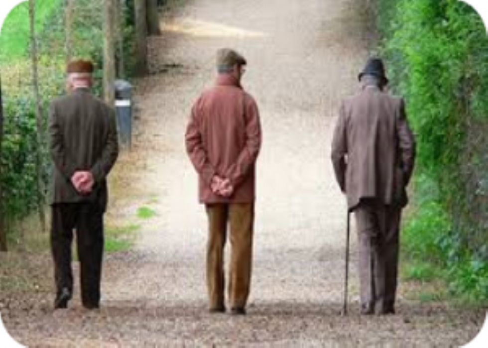 Novità cedolino di pensione novembre 2023