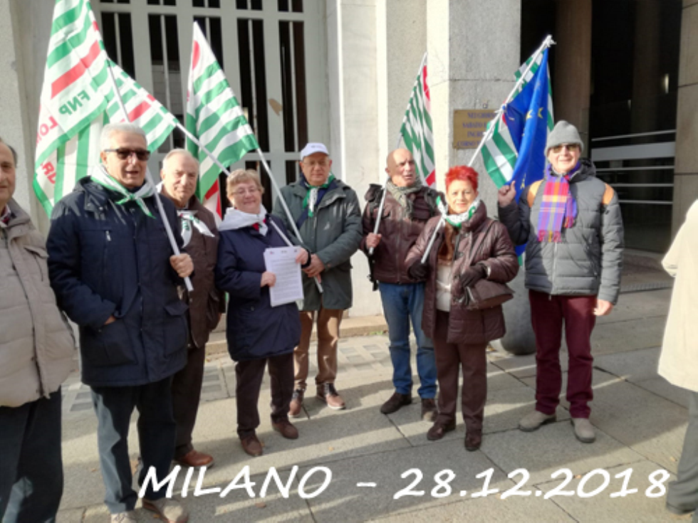 imm_3228_20181228fnp-1mi.jpg