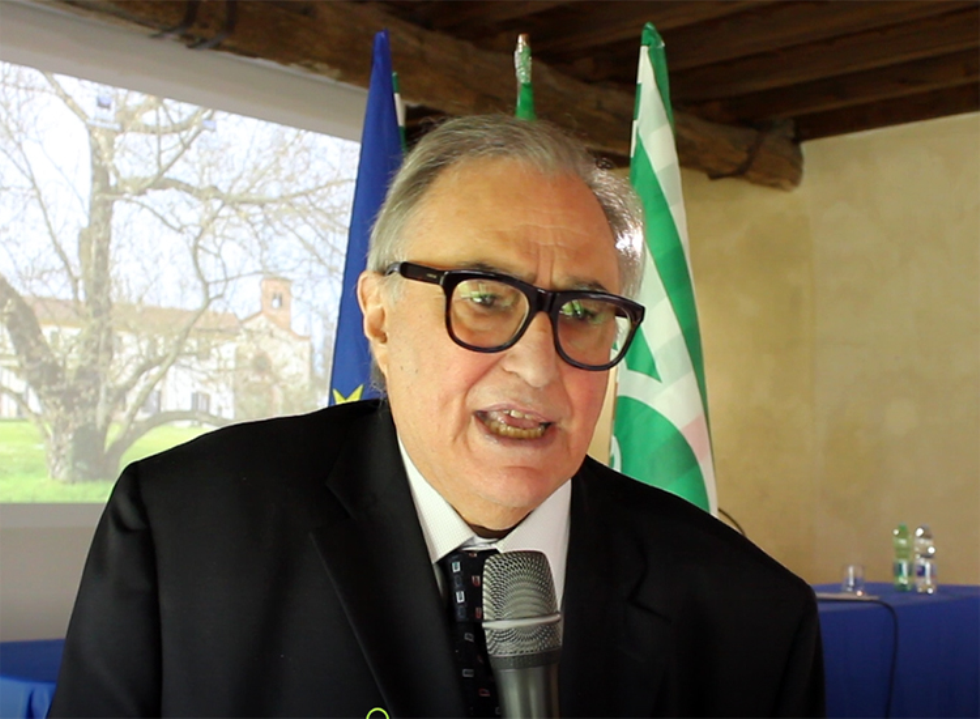 Giulio Sapelli